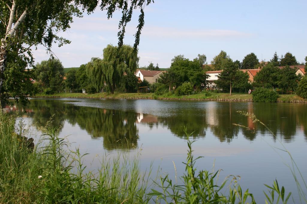 Penzion U Sklepu Otel Hovorany Dış mekan fotoğraf