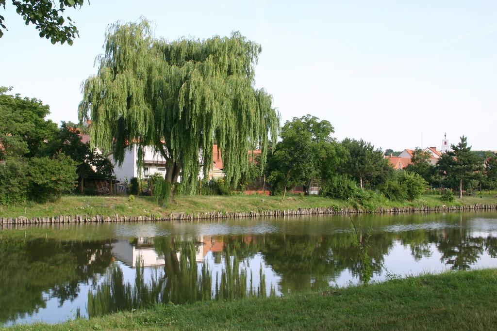 Penzion U Sklepu Otel Hovorany Dış mekan fotoğraf